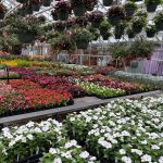 Gritt’s Midway Greenhouse