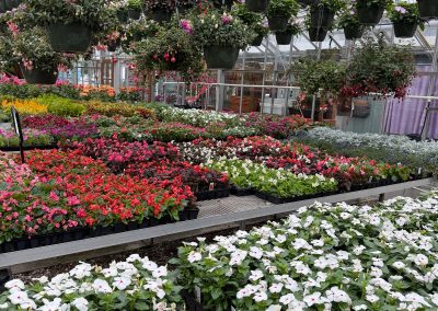 Gritt’s Midway Greenhouse