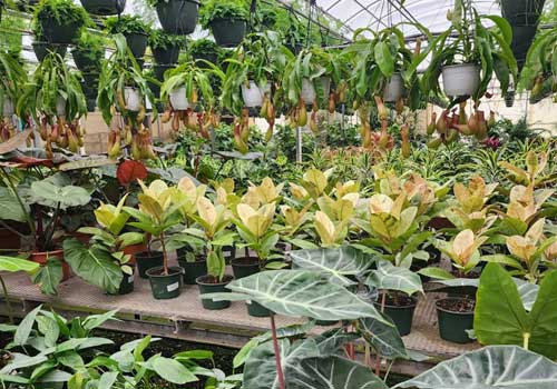 outdoor and recreation center