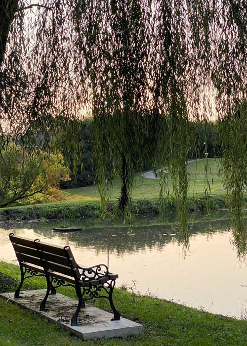 Asian noodles with chopsticks