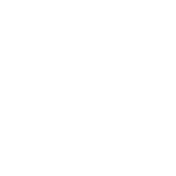 boot print icon
