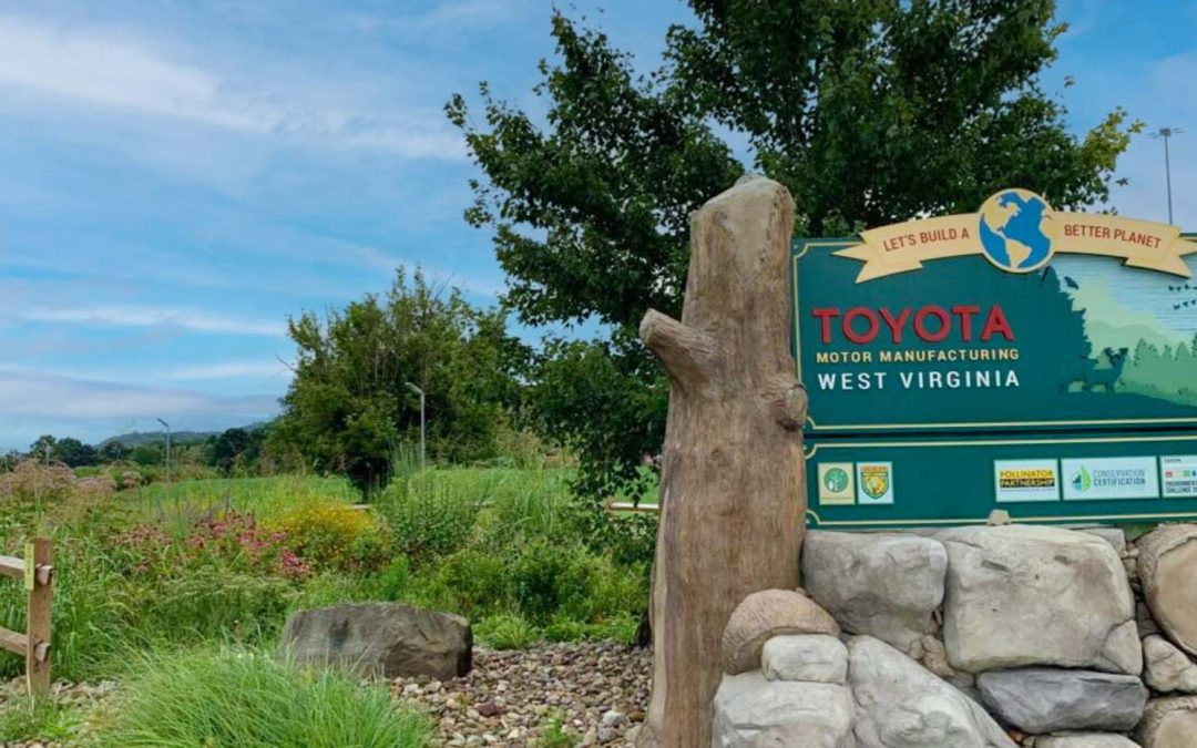 Toyota West Virginia Biodiversity Trail