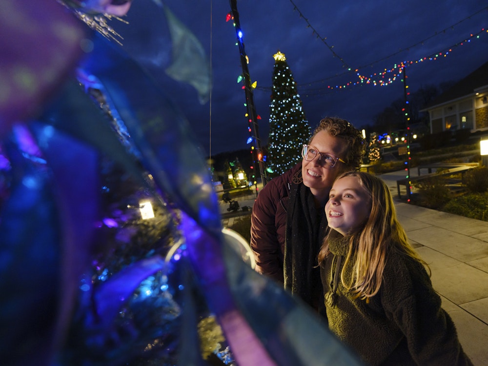 woman and child looking at christmas trees