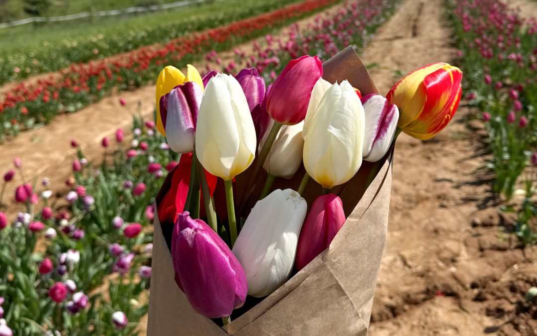 Explore April in Putnam County, West Virginia